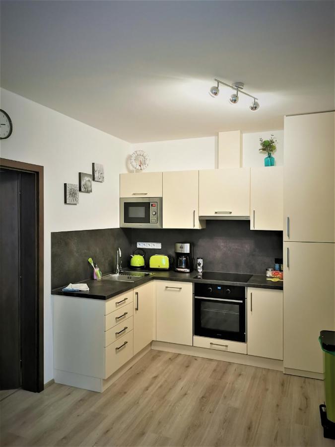 Apartman 5 Klinovec Apartment Loucna pod Klinovcem Exterior photo